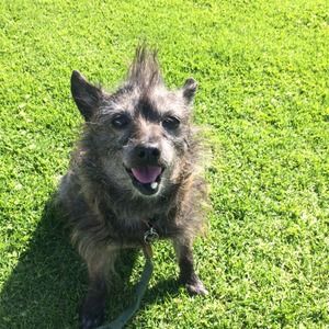 Hi I m Jessewiththegoodhair